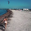 фотография bardovskaya_a фотография bardovskaya_a