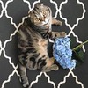 фотография Мария Агалакова фотография Мария Агалакова