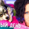 лучшие фото chihuasophieanny_magik лучшие фото chihuasophieanny_magik