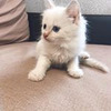 новое фото Маша Герас новое фото Маша Герас