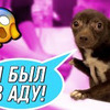 реклама в блоге birmairma реклама в блоге birmairma