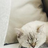 лучшие фото Настя Герц лучшие фото Настя Герц
