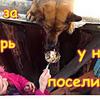 разместить рекламу в блоге family_brovchenko разместить рекламу в блоге family_brovchenko