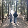 реклама у блоггера Ирина Таранова реклама у блоггера Ирина Таранова