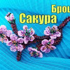 новое фото Натали Амапола новое фото Натали Амапола