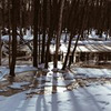 новое фото Анастасия Болконская новое фото Анастасия Болконская