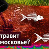 реклама в блоге varlamov реклама в блоге varlamov