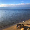 фотография Анна Горина фотография Анна Горина