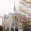 разместить рекламу в блоге Анна Салынская разместить рекламу в блоге Анна Салынская