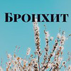 реклама у блоггера Елена Орлова реклама у блоггера Елена Орлова