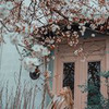 лучшие фото Альберта Ушакова лучшие фото Альберта Ушакова