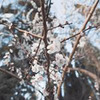 новое фото Настя Фед новое фото Настя Фед