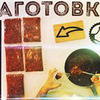 заказать рекламу у блоггера Анатолий Бордиян заказать рекламу у блоггера Анатолий Бордиян