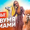 реклама на блоге maevamasha реклама на блоге maevamasha