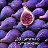 фото на странице Юлия Леночкина фото на странице Юлия Леночкина