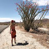 фотография Юлия Шефер фотография Юлия Шефер