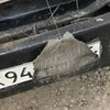 заказать рекламу у блоггера Елена / Лиса рулит Лисовская заказать рекламу у блоггера Елена / Лиса рулит Лисовская