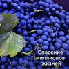 новое фото Юлия Леночкина новое фото Юлия Леночкина