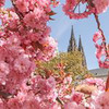 реклама в блоге Дарья Темникова реклама в блоге Дарья Темникова
