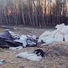 заказать рекламу у блоггера Дарья Пушкарева заказать рекламу у блоггера Дарья Пушкарева