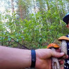 реклама на блоге Александр Филимонов реклама на блоге Александр Филимонов