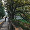 реклама в блоге Унгуль реклама в блоге Унгуль