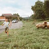 реклама на блоге Анжелика Шатулина реклама на блоге Анжелика Шатулина