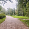 реклама в блоге Света Сорокина реклама в блоге Света Сорокина