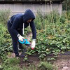 реклама в блоге Ирина Муковнина реклама в блоге Ирина Муковнина