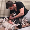 разместить рекламу в блоге Алексей Сорокин разместить рекламу в блоге Алексей Сорокин