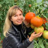 заказать рекламу у блоггера urozhainyi_ogorod заказать рекламу у блоггера urozhainyi_ogorod