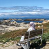 реклама у блоггера Гузель Габдрахимова реклама у блоггера Гузель Габдрахимова