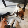 новое фото Алена Федорова новое фото Алена Федорова