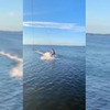 новое фото Я так решил новое фото Я так решил
