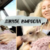 разместить рекламу в блоге nastyachuck разместить рекламу в блоге nastyachuck