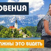 разместить рекламу в блоге andrei_mazulnitsyn разместить рекламу в блоге andrei_mazulnitsyn