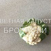 фотография Елена фотография Елена