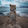 новое фото Ольга Баранцева новое фото Ольга Баранцева