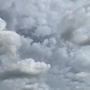 фотография Диана Милканова (Козырева) фотография Диана Милканова (Козырева)