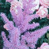 фотография Галина Степченко фотография Галина Степченко