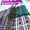 заказать рекламу у блоггера Оля Попова заказать рекламу у блоггера Оля Попова