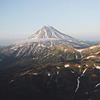 фотография Ольга Балчевская фотография Ольга Балчевская