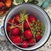 реклама на блоге katerina_gourmet реклама на блоге katerina_gourmet