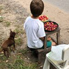 новое фото Дания Иданичка новое фото Дания Иданичка