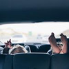 новое фото Саша Ketisha новое фото Саша Ketisha