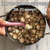 разместить рекламу в блоге Екатерина Абрамова разместить рекламу в блоге Екатерина Абрамова