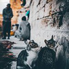 реклама на блоге Виктор Сабур реклама на блоге Виктор Сабур
