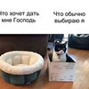 лучшие фото Ольга Валяева лучшие фото Ольга Валяева