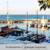 реклама на блоге Юлия Дубинина реклама на блоге Юлия Дубинина