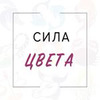 заказать рекламу у блоггера Ольга Мазур заказать рекламу у блоггера Ольга Мазур